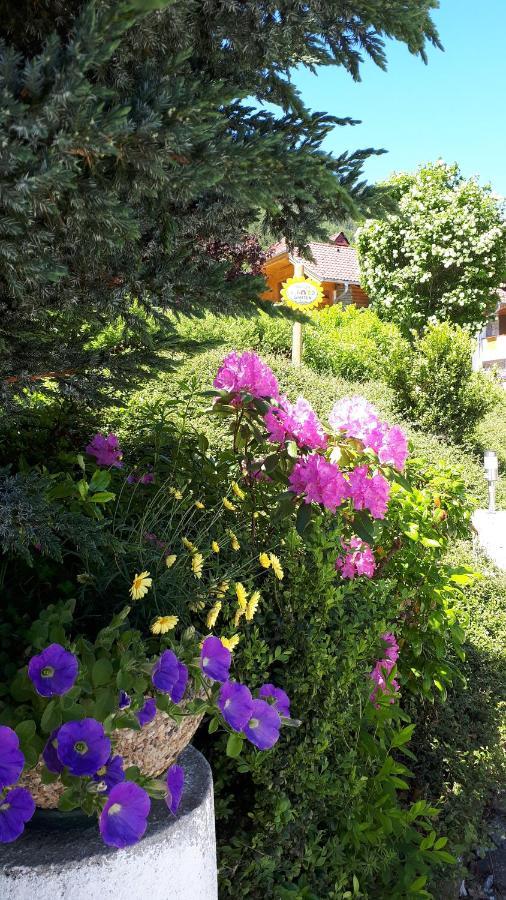 Apartment Haus Dengg Mauterndorf  Zewnętrze zdjęcie